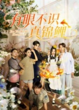 有眼不识真锦鲤(全集)