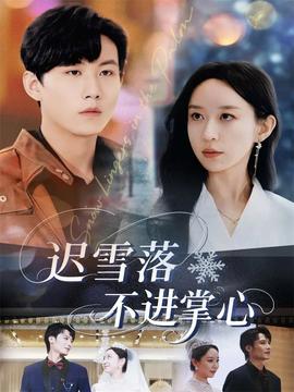 迟雪落不进掌心(全集)