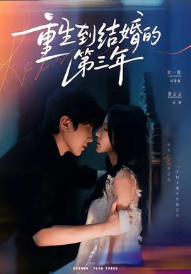 重生到结婚的第三年(全集)
